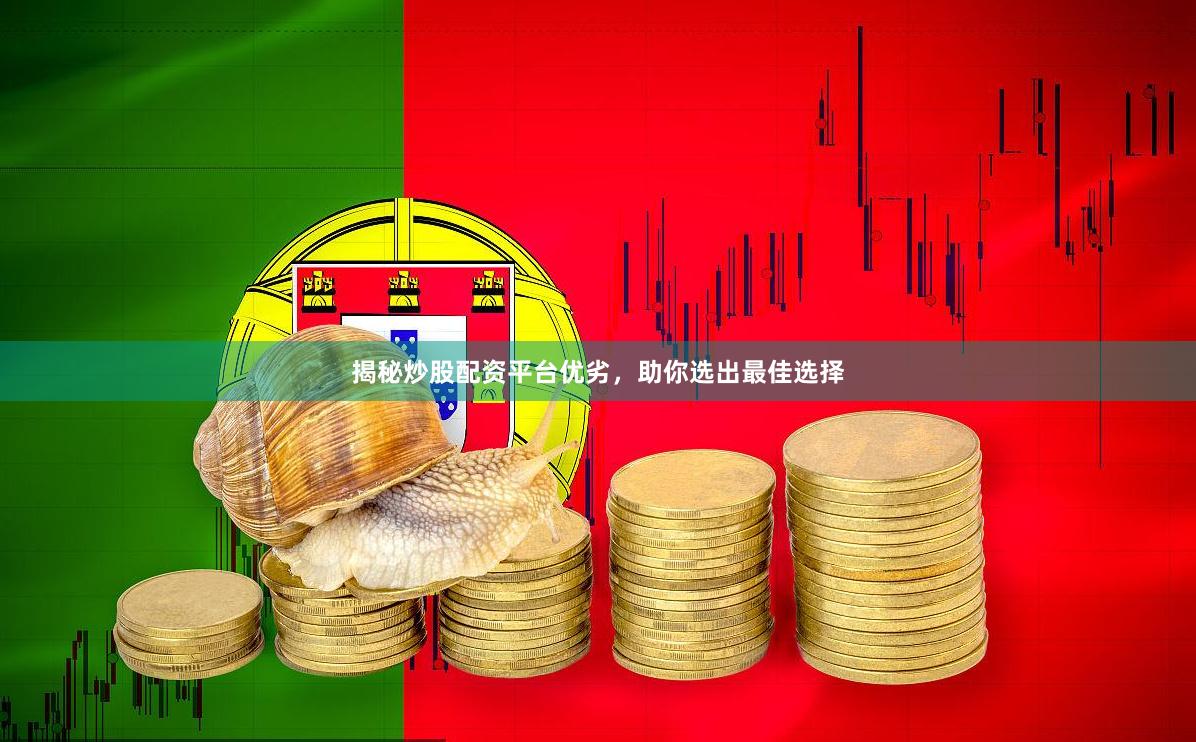 揭秘炒股配资平台优劣，助你选出最佳选择