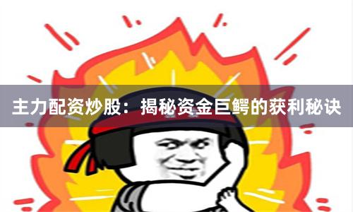 主力配资炒股：揭秘资金巨鳄的获利秘诀