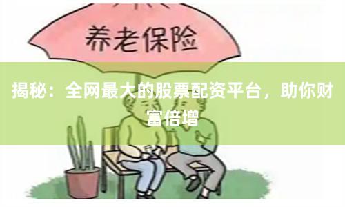 揭秘：全网最大的股票配资平台，助你财富倍增