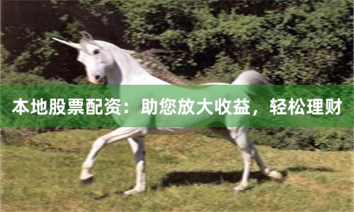 本地股票配资：助您放大收益，轻松理财
